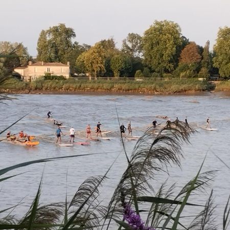 L'Atelier Saint-Sulpice Entre Bordeaux Et St Emilion Bed and Breakfast Buitenkant foto
